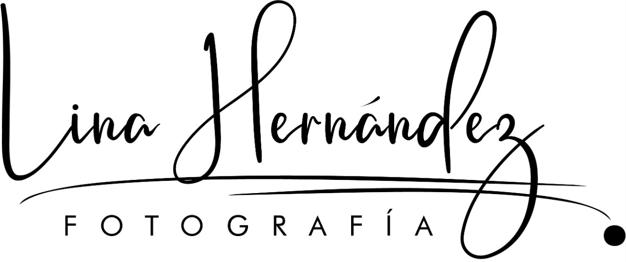 LOGO LINA HERNANDEZ